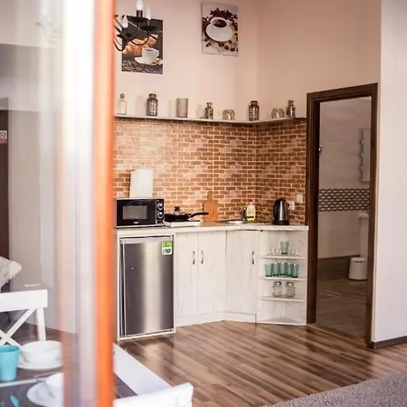 Daire Apartamenty Chopina